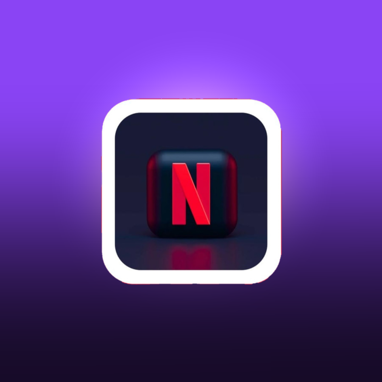 NETFLIX SUBSCRIPTION